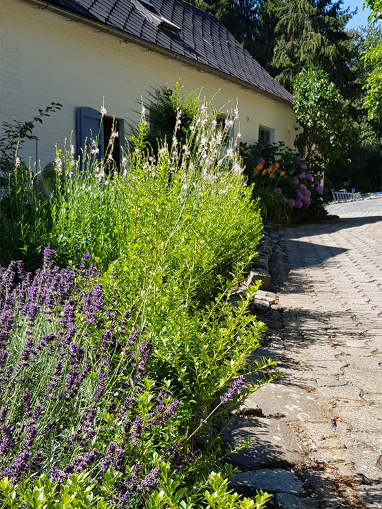 overnachting vakantiewoning vlaamse ardennen